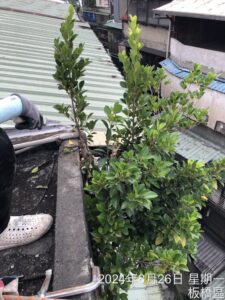 新北外牆鋼筋外露 修繕 防水施工｜鼎豐外牆修繕工程-8